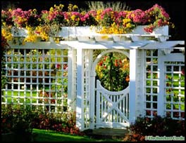 Butchart Gardens