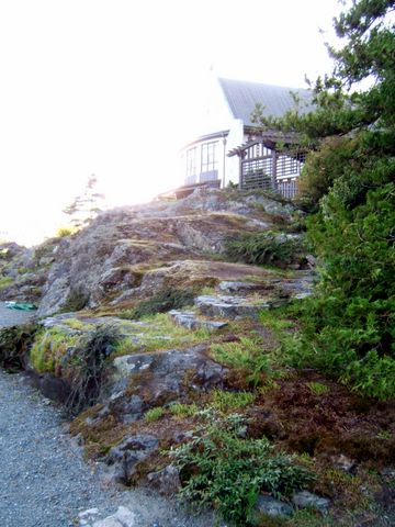 The Back of Government House