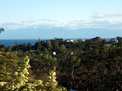 Gardens with a view