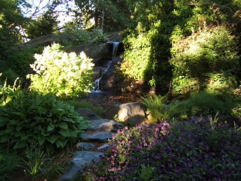 the Pond