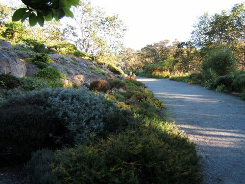 Rock Gardens