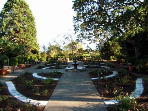 The Rose Gardens