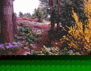 Horticultural Centre