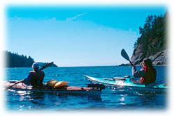 Kayaking in the inner habour Victoria BC