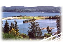 Sooke Harbour