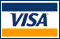 We Accept Visa Payments