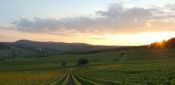 Wineries Duncan package